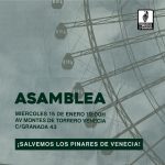 Asamblea Salvemos los Pinares de Venecia