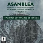 Asamblea Salvemos los Pinares de Venecia