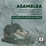 Asamblea Salvemos los Pinares de Venecia